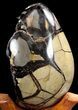 Septarian Dragon Egg Geode - Crystal Filled #37302-3